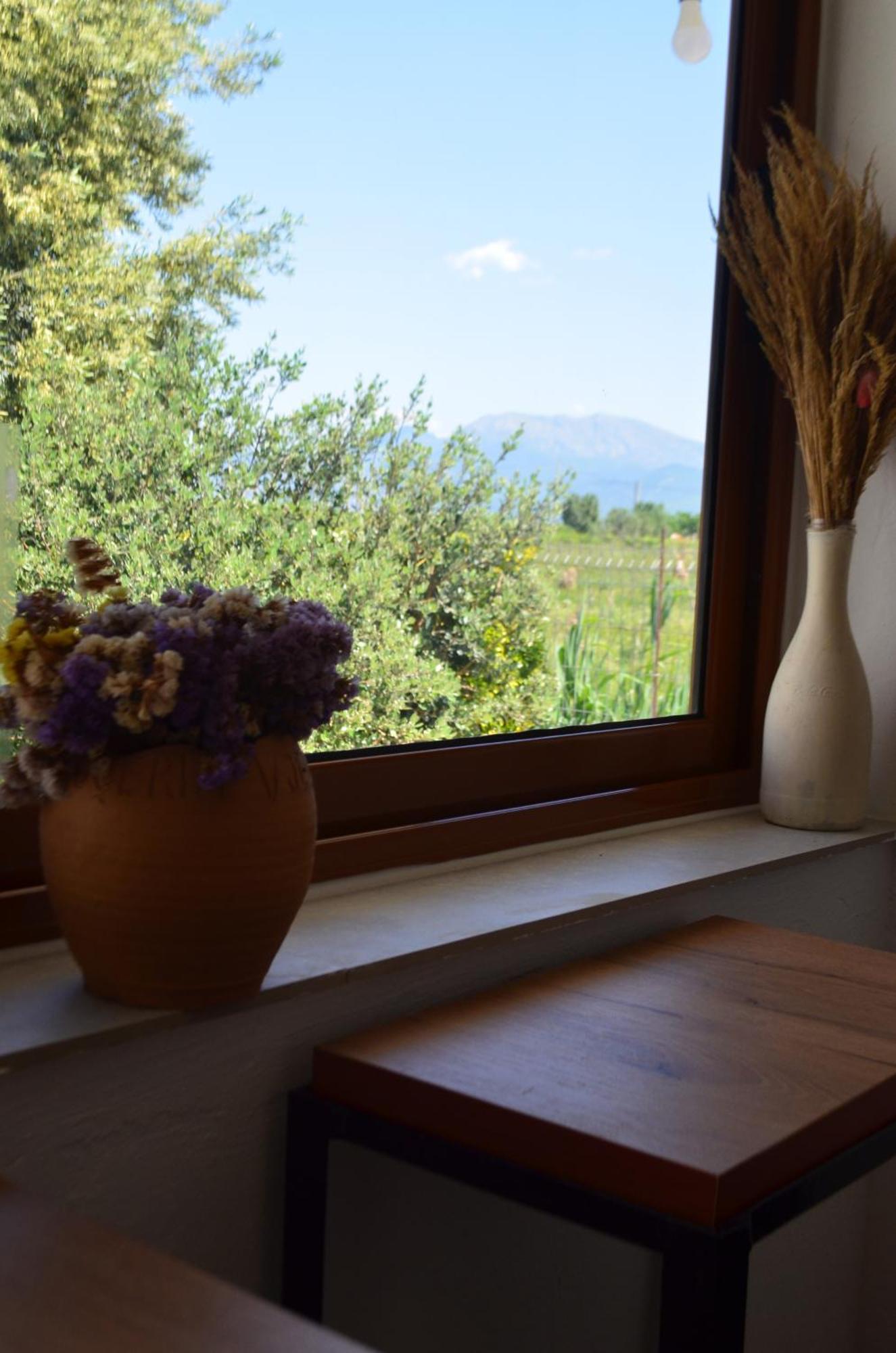 Rustic Tale Guesthouse Kültér fotó