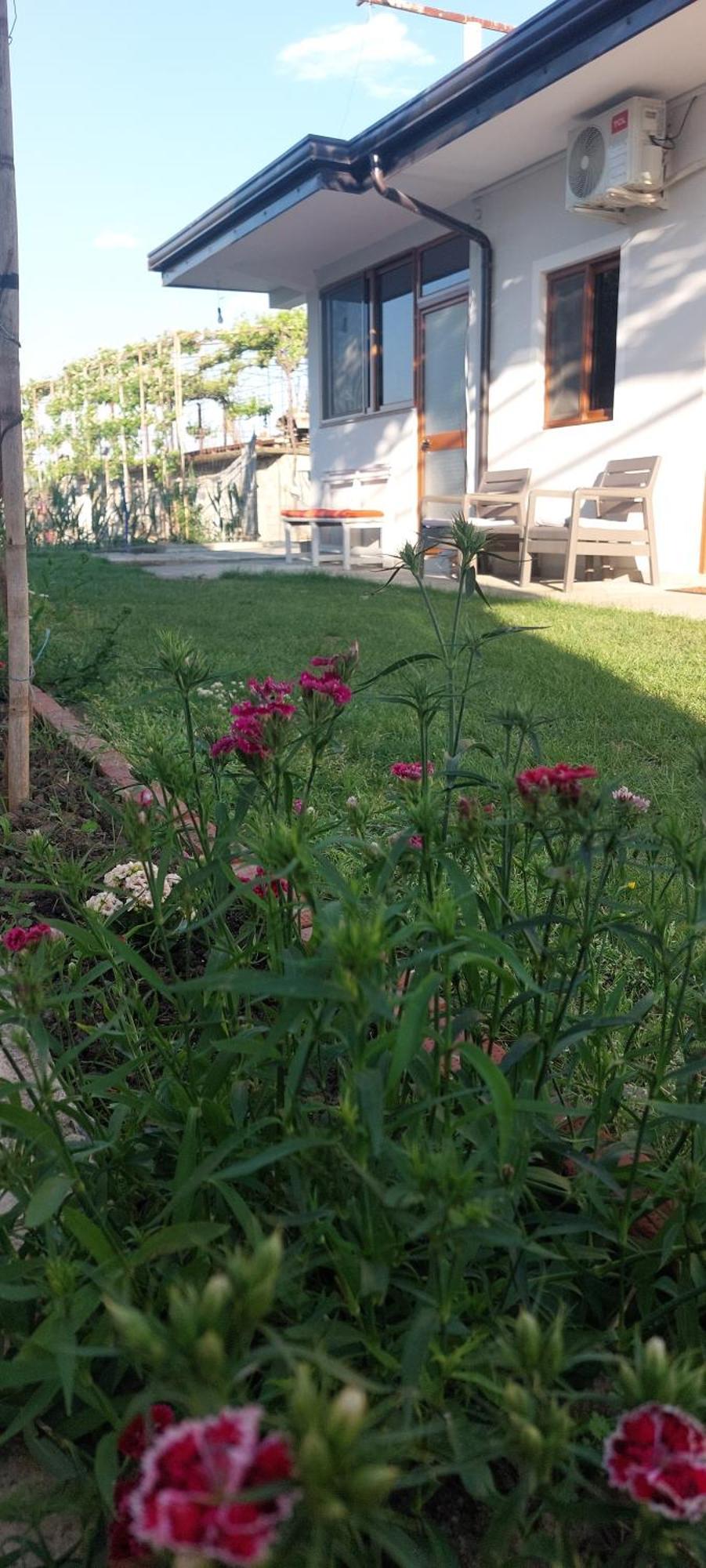 Rustic Tale Guesthouse Kültér fotó